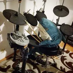 Blahaj drums
