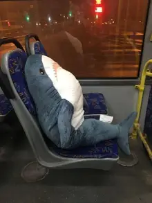 Blahaj on bus